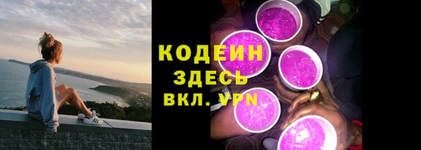 прущие крисы Ельня