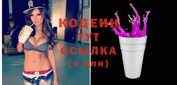 прущие крисы Ельня