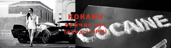 прущие крисы Ельня