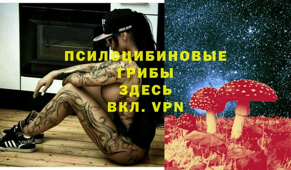 прущие крисы Ельня