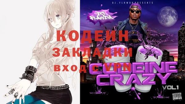 спайс Гусь-Хрустальный