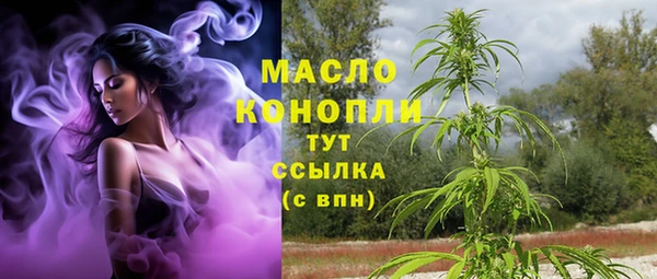 МДПВ Елабуга