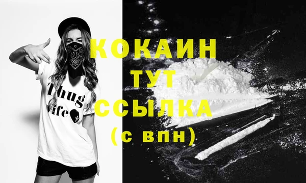 прущие крисы Ельня
