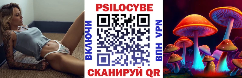 Псилоцибиновые грибы Psilocybe  закладка  Осташков 